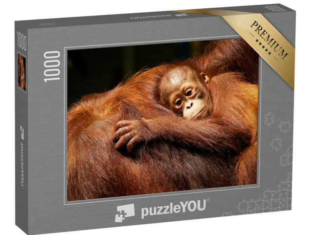 puzzle 1000 dílků „Samice orangutana a její mládě v deštném pralese“