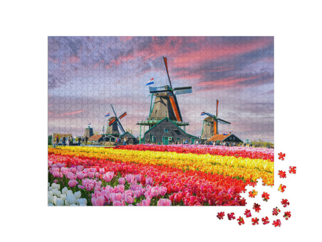 puzzle 1000 dílků „Krajina s tulipány a tradičními holandskými větrnými mlýny, Holandsko“