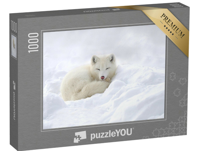 puzzle 1000 dílků „Polární liška zachumlaná ve sněhu“