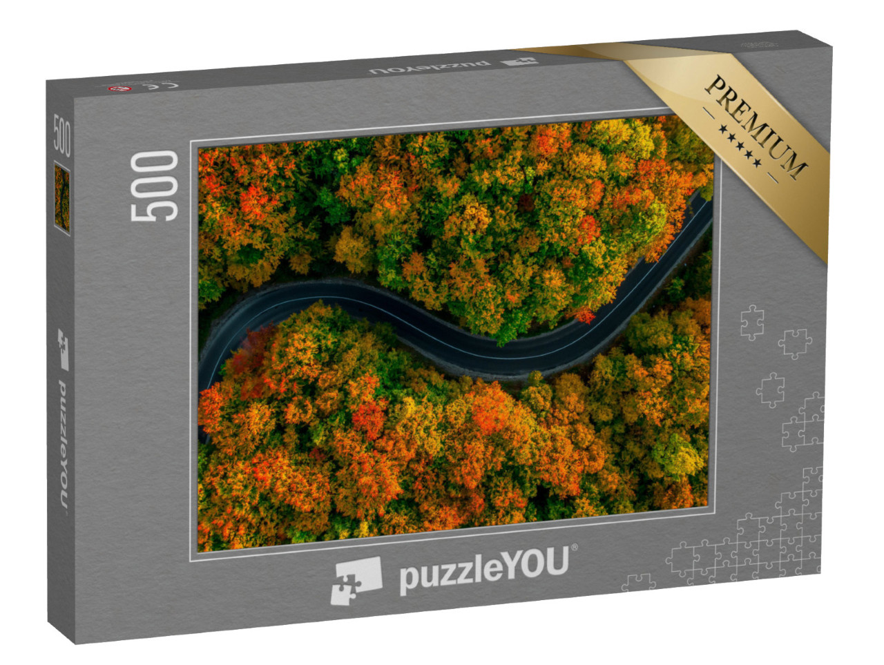puzzle 500 dílků „Pohled z ptačí perspektivy: klikatá cesta v hustém podzimním lese“
