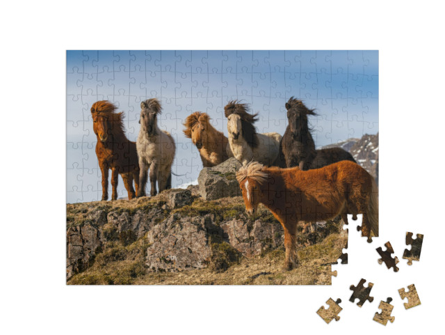 puzzle 200 dílků „Stádo islandských koní v bouřlivém větru“