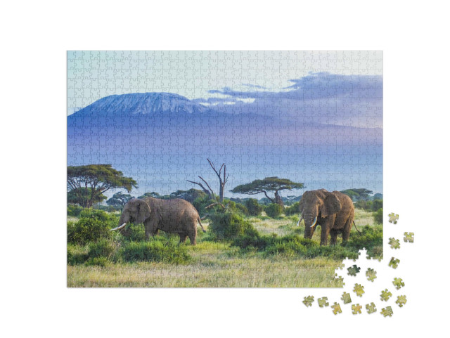 puzzle 1000 dílků „Sloni na Kilimandžáru“