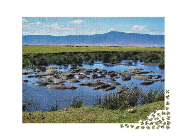 puzzle 2000 dílků „Hroší kotlina, kráter Ngorongoro, Tanzanie“