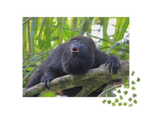 puzzle 1000 dílků „Černá nebo guatemalská opice howler na stromě“