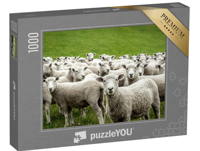 puzzle 1000 dílků „Stádo ovcí“