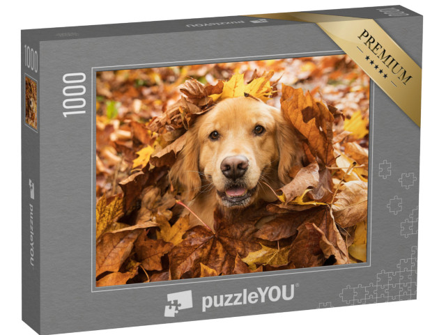 puzzle 1000 dílků „Zlatý retrívr, ukrytý v podzimním listí“