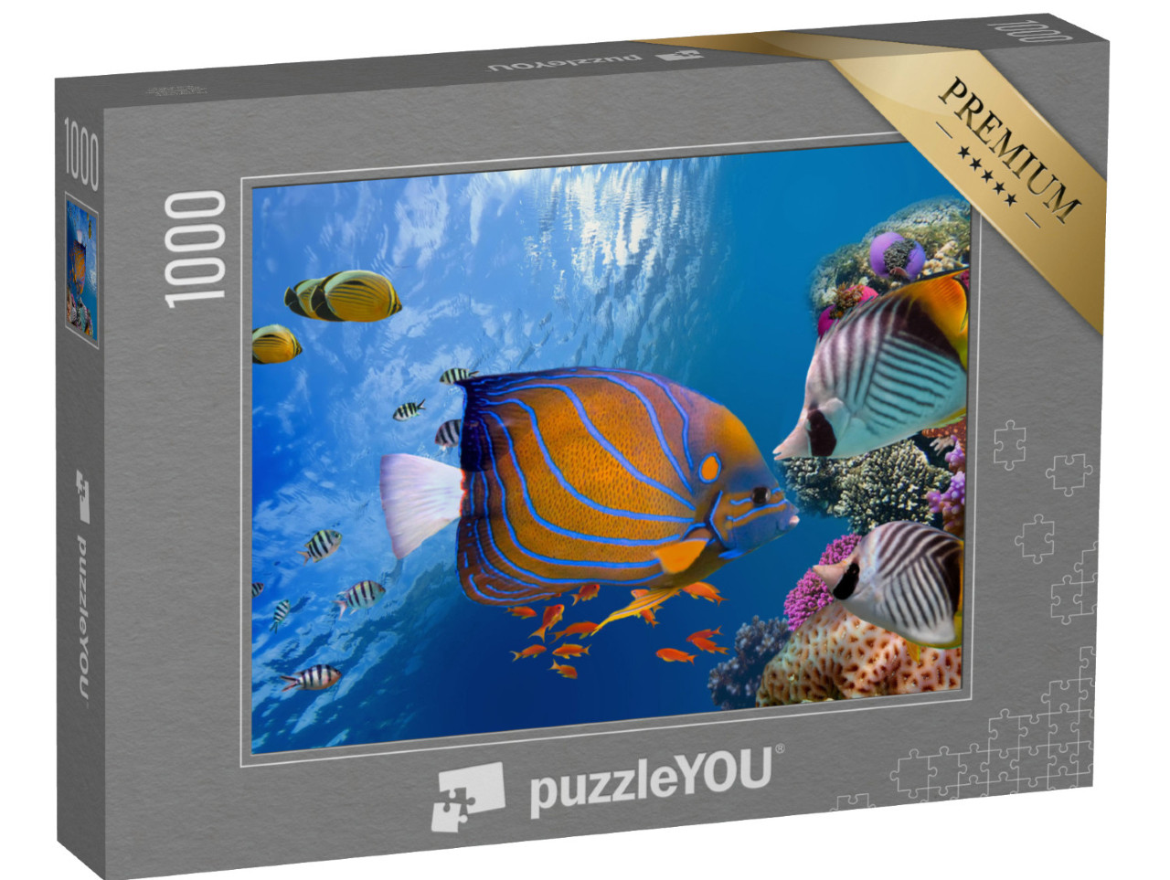 puzzle 1000 dílků „Okouzlující podmořský svět, Rudé moře“