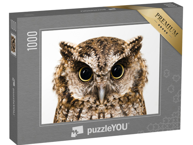 puzzle 1000 dílků „Fotografie sovy, makro záběr“