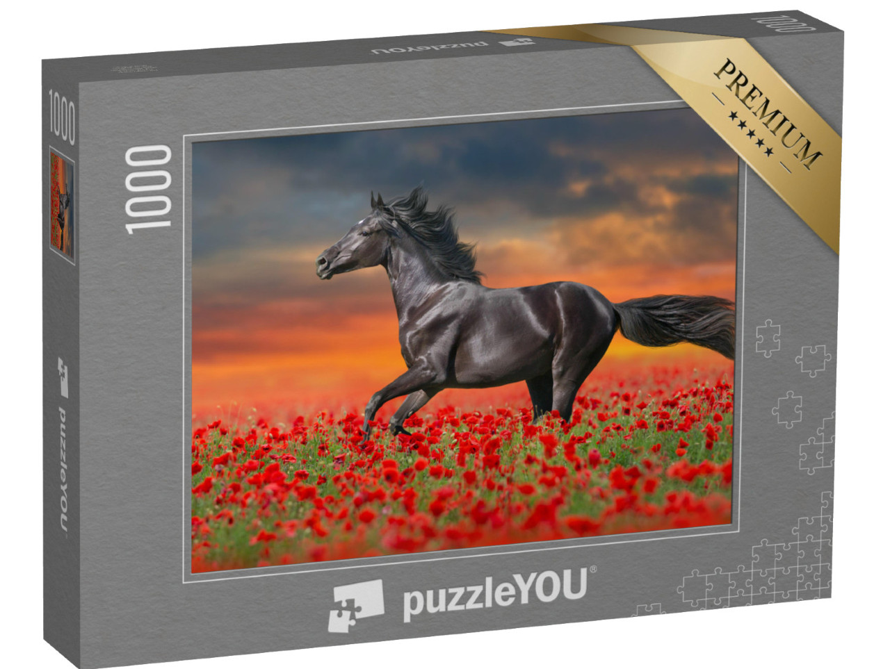puzzle 1000 dílků „Černý kůň v červených mácích“