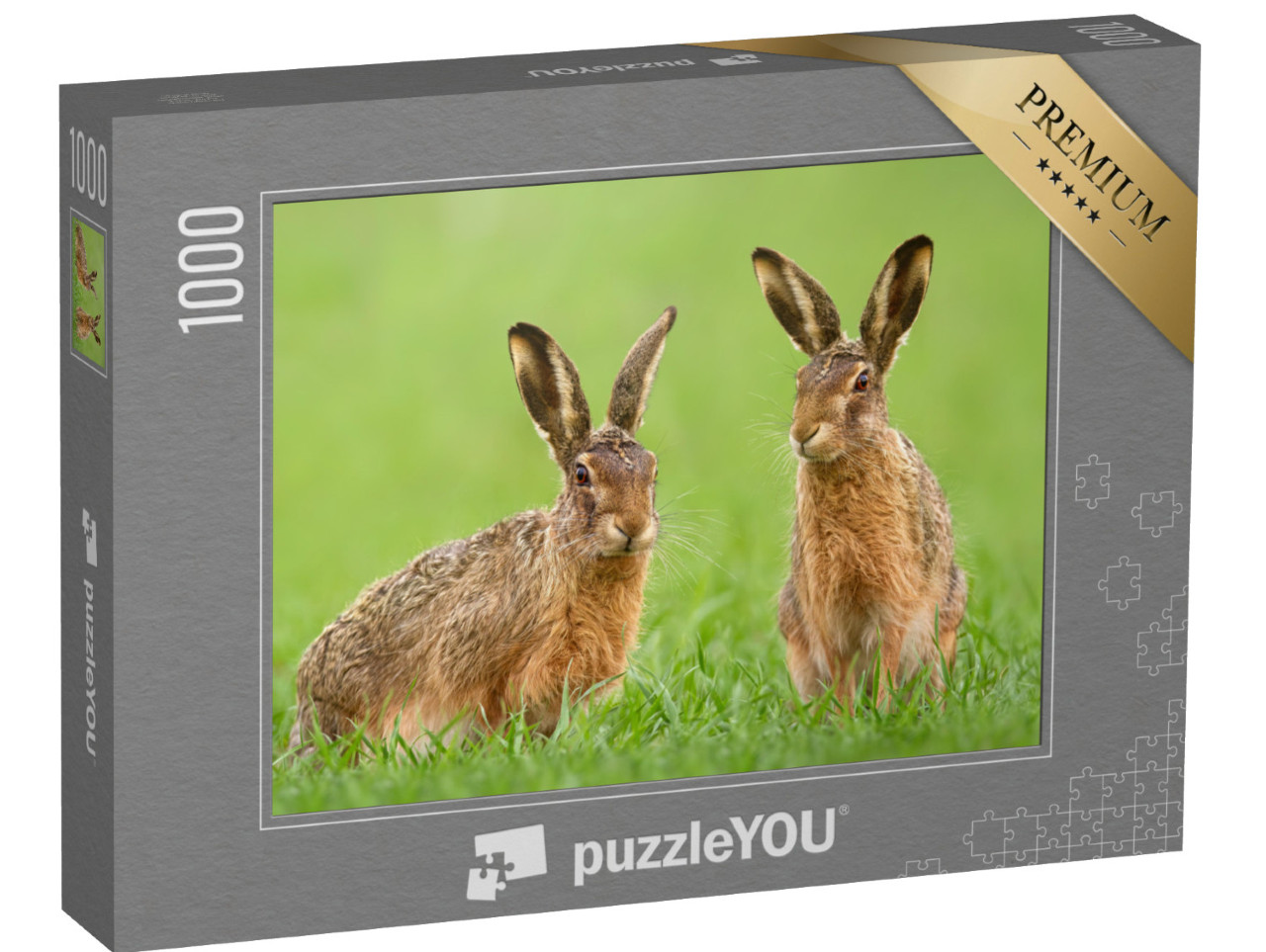 puzzle 1000 dílků „Dva zajíci na louce na jaře“