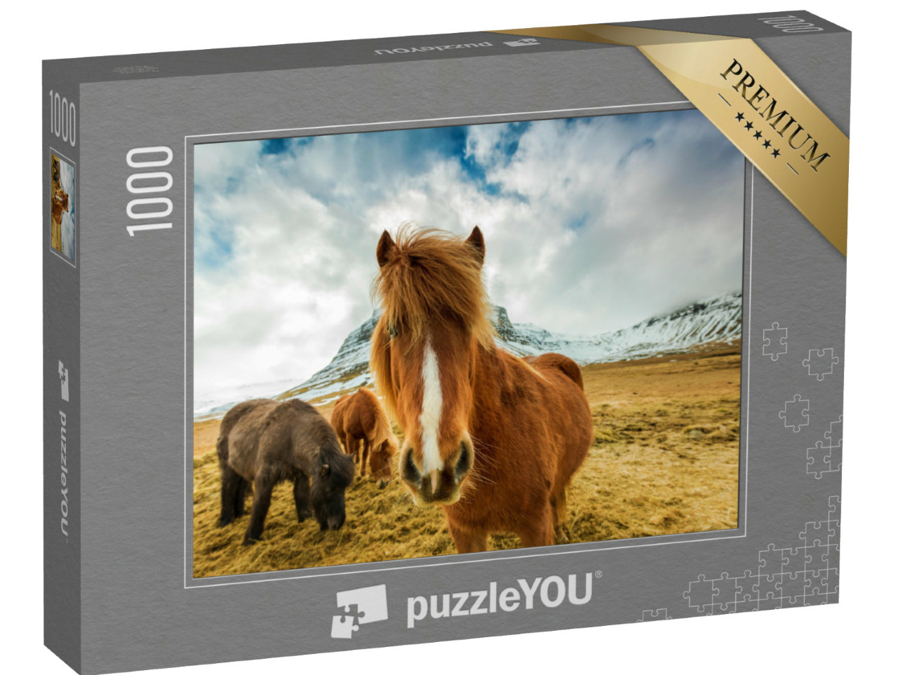 puzzle 1000 dílků „Koně v islandských horách“
