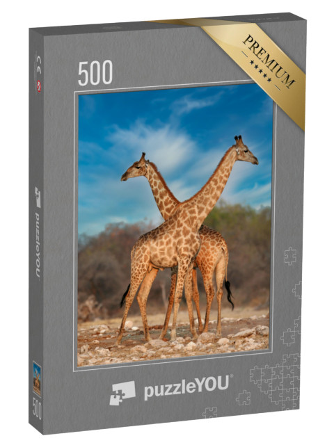 puzzle 500 dílků „Dvě žirafy“