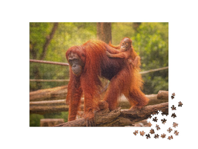 puzzle 1000 dílků „Mládě orangutana na zádech matky“