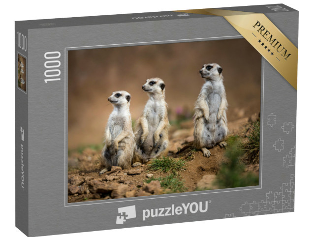 puzzle 1000 dílků „Bdělé surikaty“