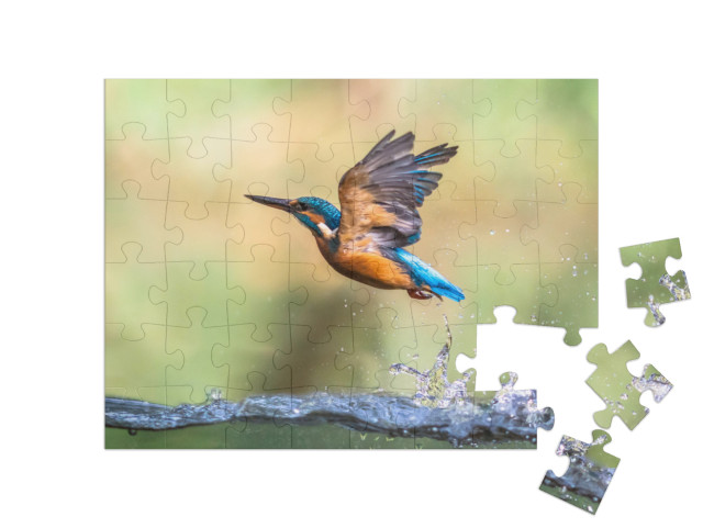 puzzle 48 dílků „Z vody vylétá rybák“