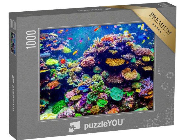 puzzle 1000 dílků „Singapurské akvárium - Korály a tropické ryby“