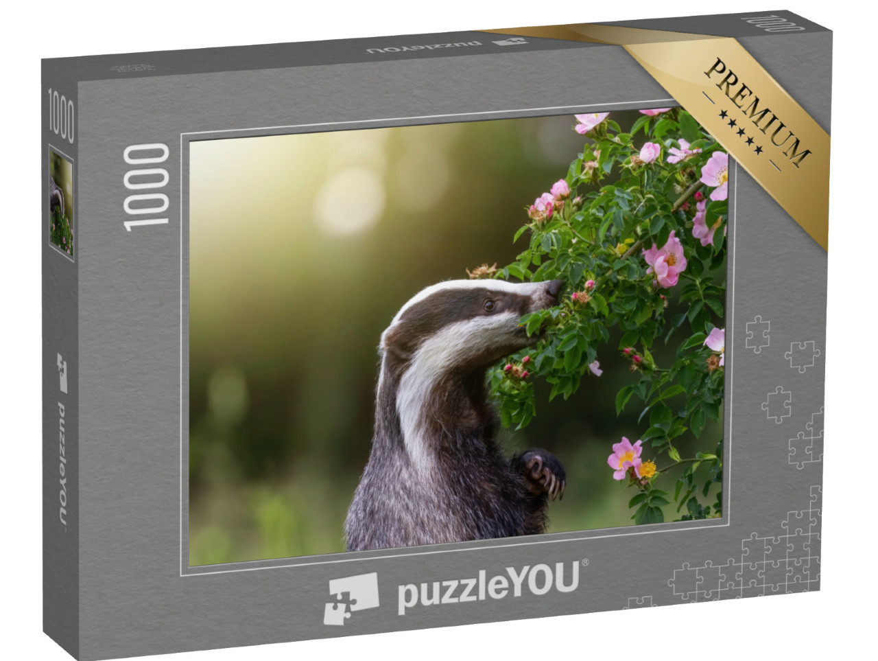 puzzle 1000 dílků „Jezevec stojící na zadních nohách a čichající ke květu divoké růže“