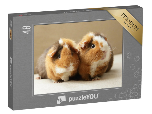 puzzle 48 dílků „Dvě roztomilá morčata“