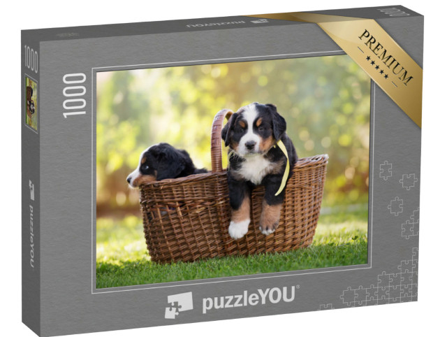 puzzle 1000 dílků „Bernský salašnický pes v košíku venku“