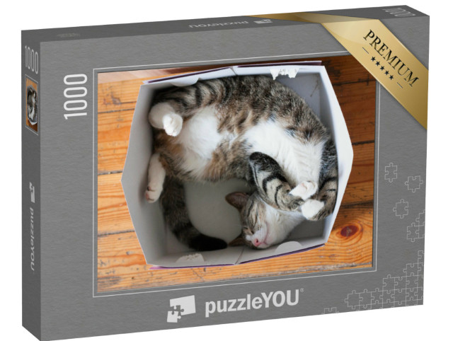 puzzle 1000 dílků „Pruhovaná spící kočka, kartonová krabice jako postel“