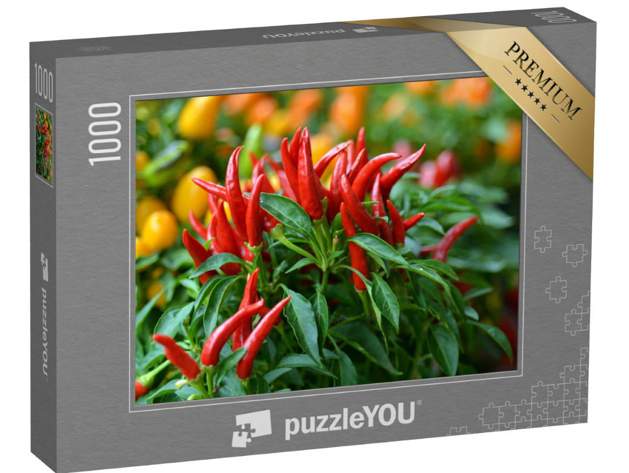 puzzle 1000 dílků „Pohled na chilli papričky na keři z ptačí perspektivy“