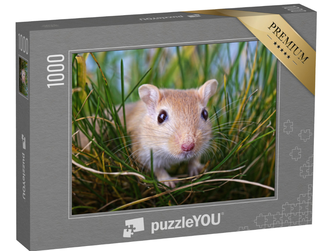 puzzle 1000 dílků „Malý pískomil v trávě“