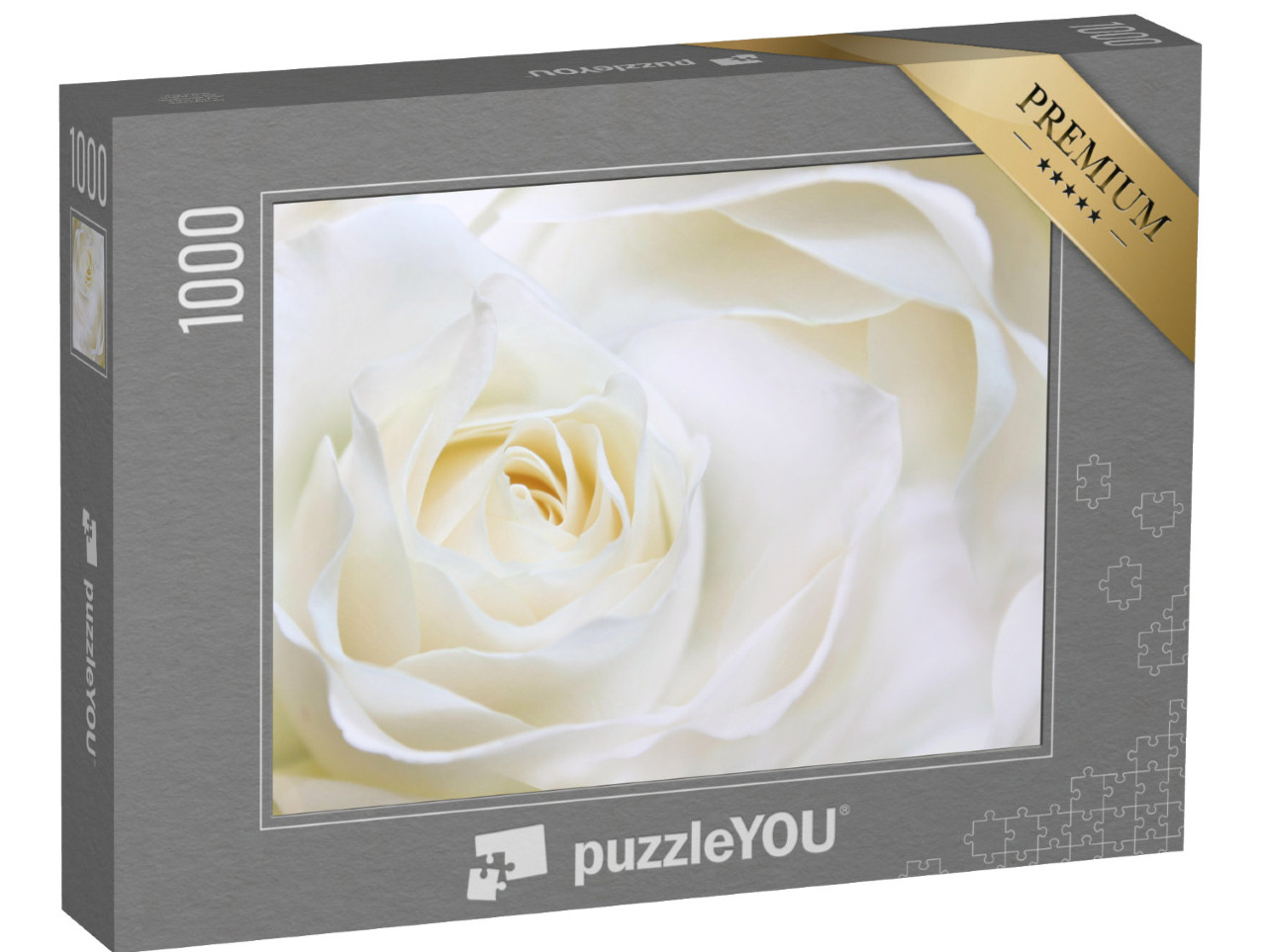 puzzle 1000 dílků „Bílá růže zblízka“