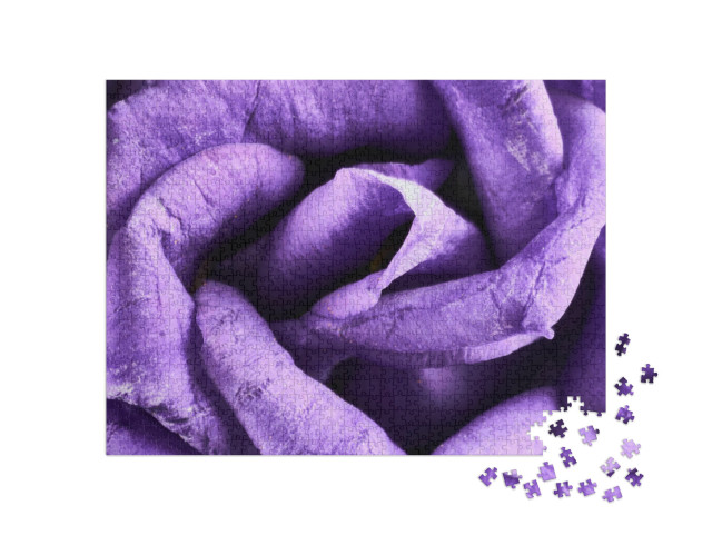 puzzle 1000 dílků „Květy Eustoma v detailním záběru“