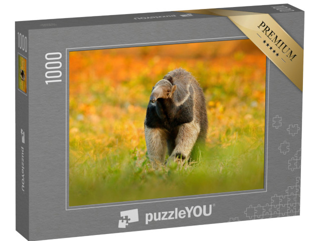 puzzle 1000 dílků „Mravenečník, zvíře z Brazílie“