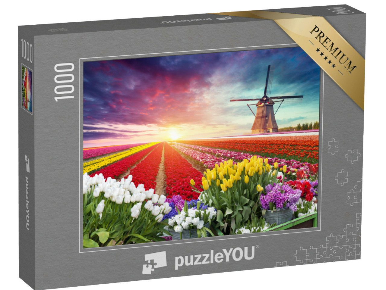 puzzle 1000 dílků „Krajina s tulipány a větrným mlýnem, Holandsko“