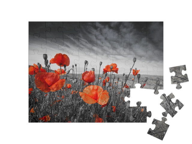 puzzle 48 dílků „Vlčí máky na louce“
