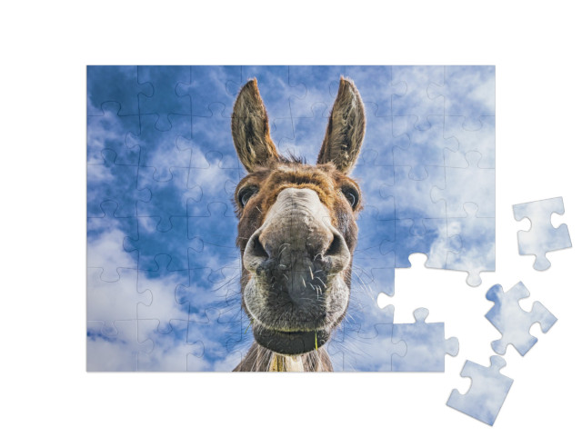 puzzle 48 dílků „Detailní záběr osla“