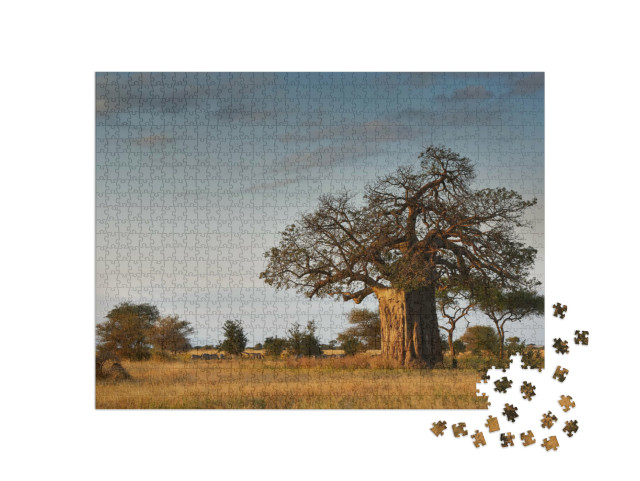 puzzle 1000 dílků „Africká krajina s velkým baobabem“