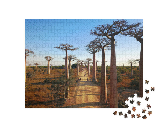 puzzle 1000 dílků „Madagaskarské baobaby,Letecké snímky,Morondava Region,Baobaby Krásný pohled“