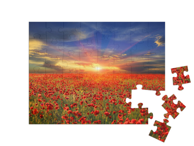 puzzle 48 dílků „Západ slunce nad makovým polem“