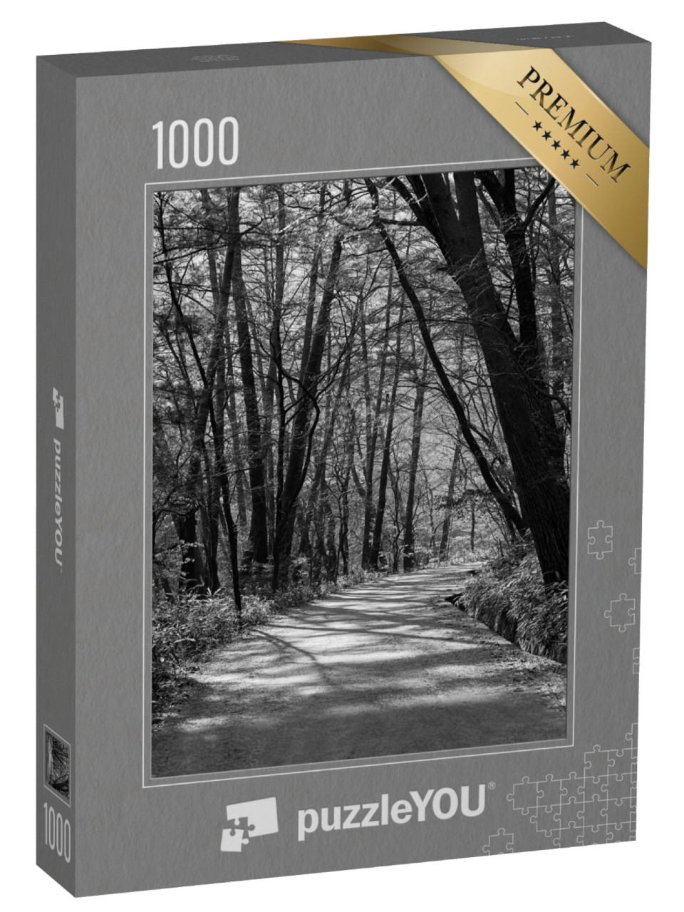 puzzle 1000 dílků „Krásná cesta v lese“
