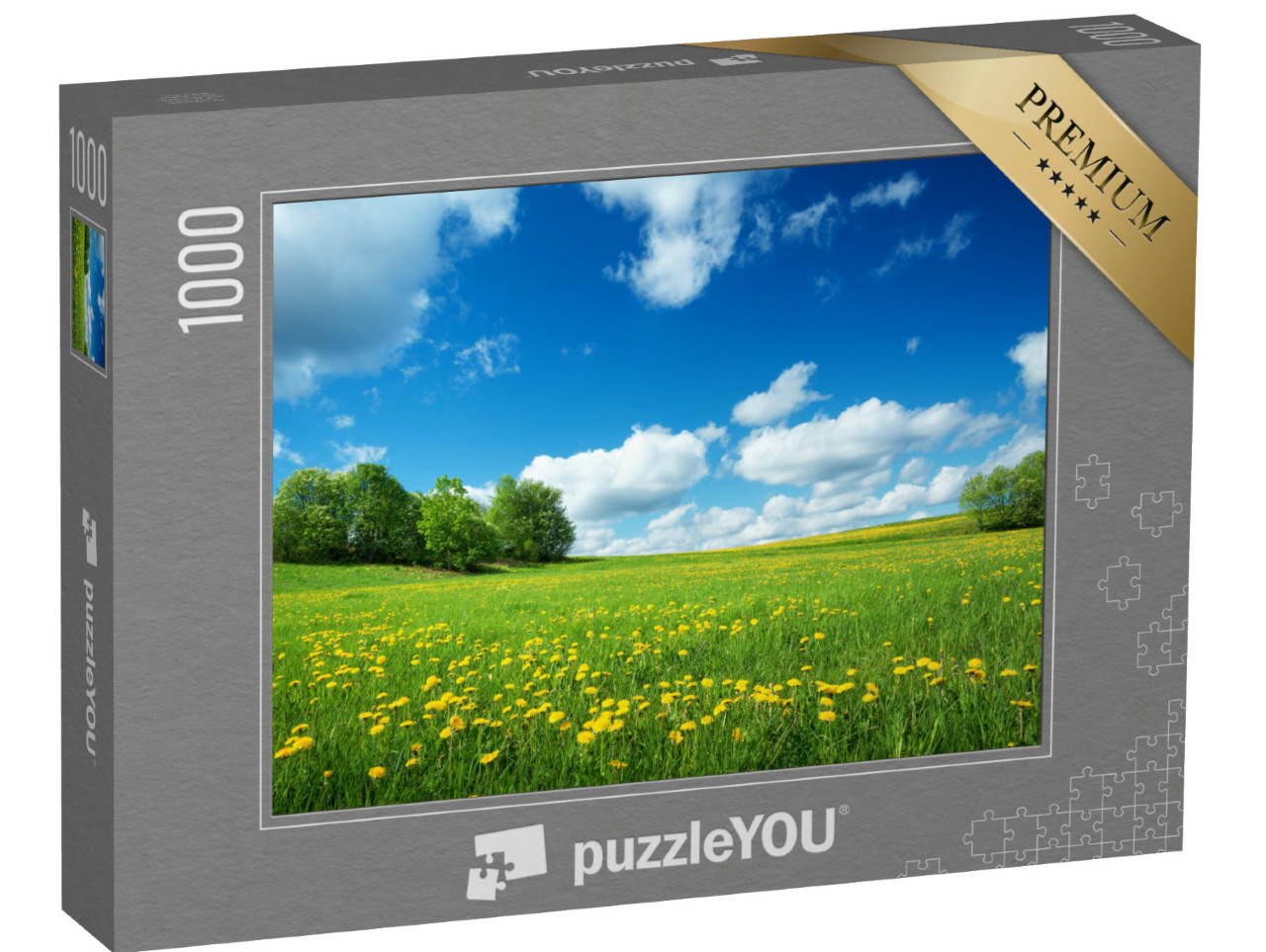 puzzle 1000 dílků „Pole se žlutými pampeliškami a modrou oblohou“