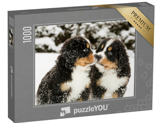 puzzle 1000 dílků „Štěňata bernského salašnického psa poprášená sněhem“