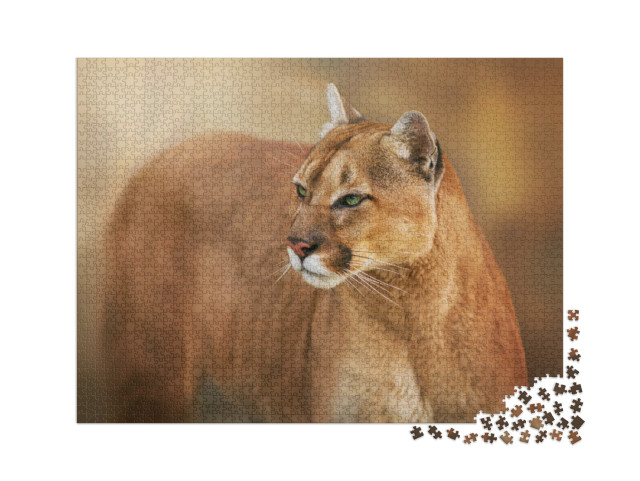 puzzle 2000 dílků „Puma se zelenýma očima“