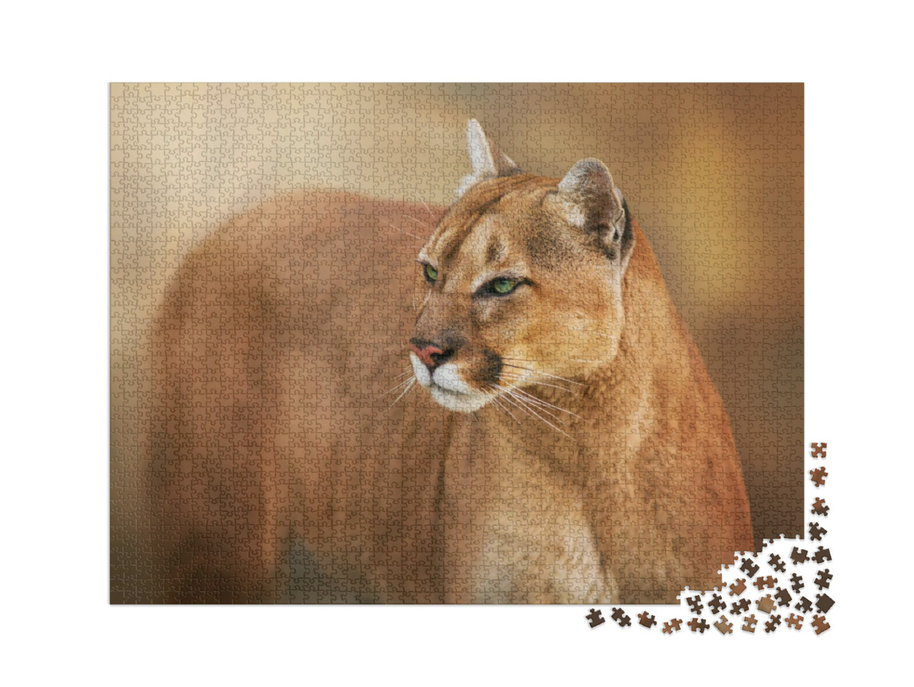 puzzle 2000 dílků „Puma se zelenýma očima“