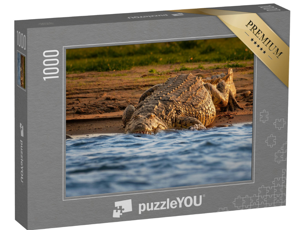 puzzle 1000 dílků „Krokodýl nilský na břehu řeky otevírá tlamu s velkými zuby“