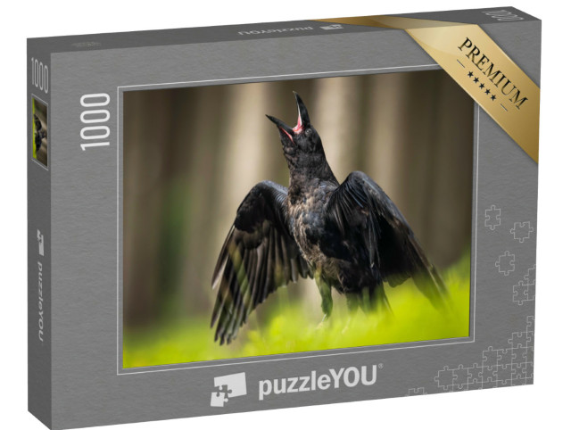 puzzle 1000 dílků „Krkavec obecný, známý také jako krkavec západní nebo severní“