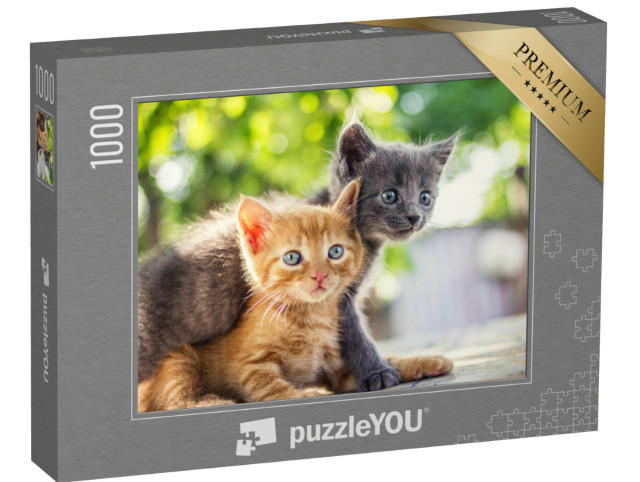 puzzle 1000 dílků „Dvě rozkošná koťata si hrají“