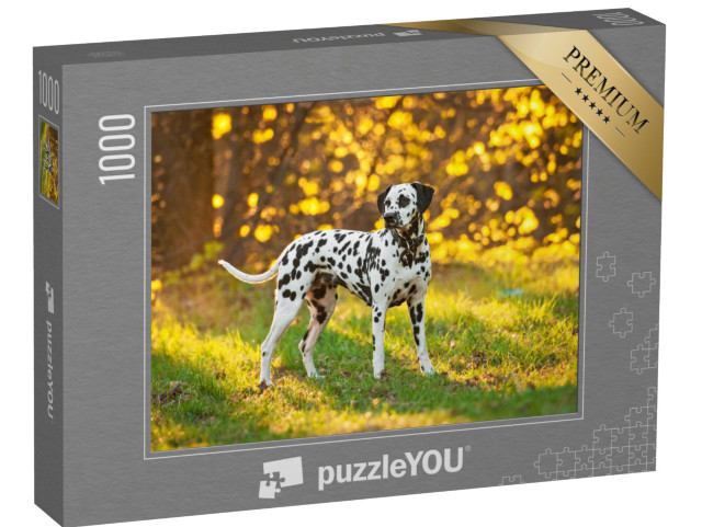 puzzle 1000 dílků „Dalmatini při západu slunce“