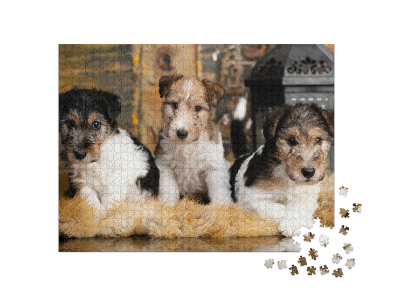 puzzle 1000 dílků „Roztomilá štěňata foxteriéra“