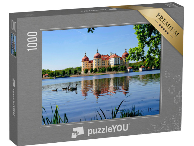 puzzle 1000 dílků „Historický zámek Moritzburg, Sasko“