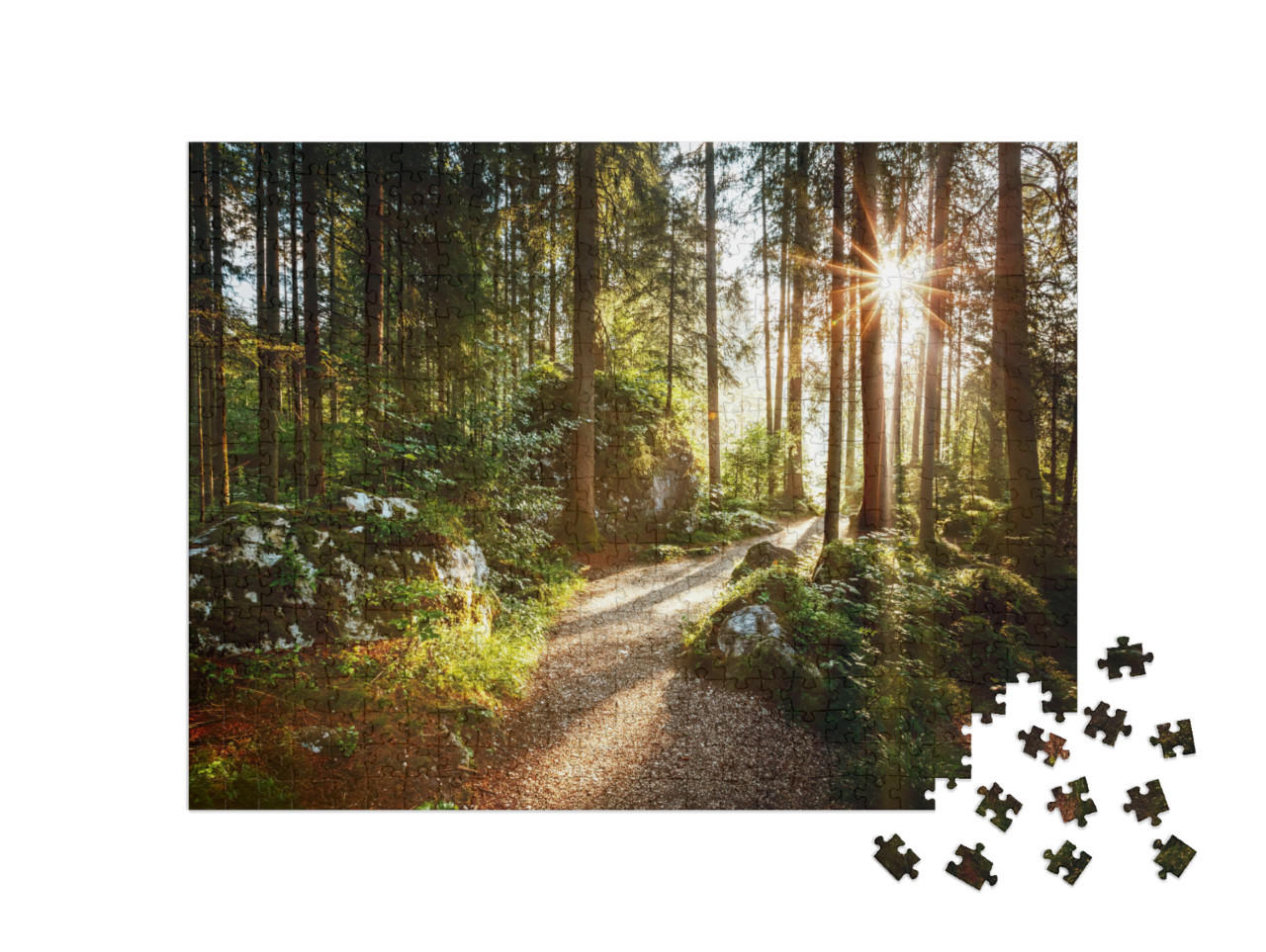 puzzle 500 dílků „Krajina a cesta lesem v ranním slunci“