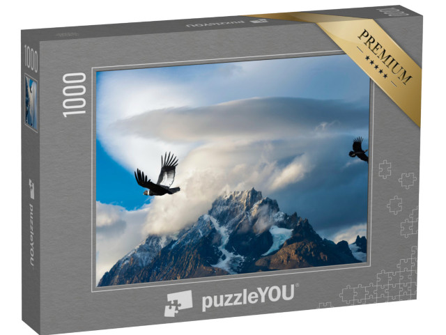 puzzle 1000 dílků „Kondoři andští v národním parku Torres del Paine, Chile“
