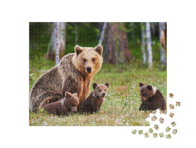 puzzle 1000 dílků „Matka medvědice hnědá chrání svá mláďata ve finském lese“