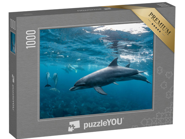 puzzle 1000 dílků „Delfíni na Mikuradžimě v Tokiu, Japonsko“